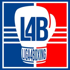 VISORNETS Offizielle Sponsoren des Spanischen Boxverbandes LIGA4BOXING